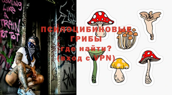 амф Абинск